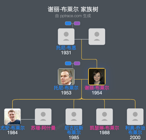 谢丽·布莱尔家族树全览