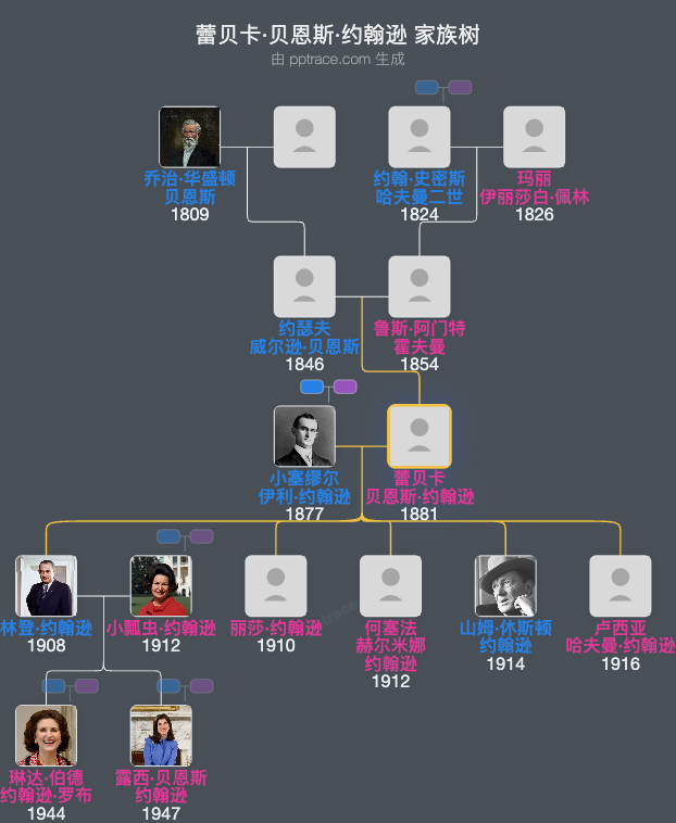 蕾贝卡·贝恩斯·约翰逊家族树全览