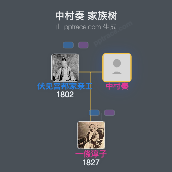 中村奏家族树全览