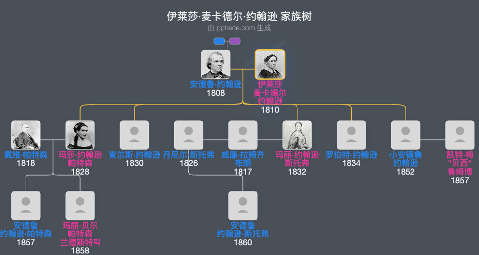 伊莱莎·麦卡德尔·约翰逊家族树全览