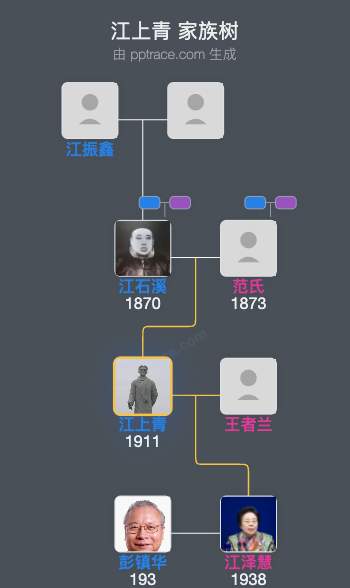 江上青 家族树全览