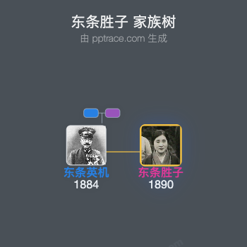 东条胜子家族树全览