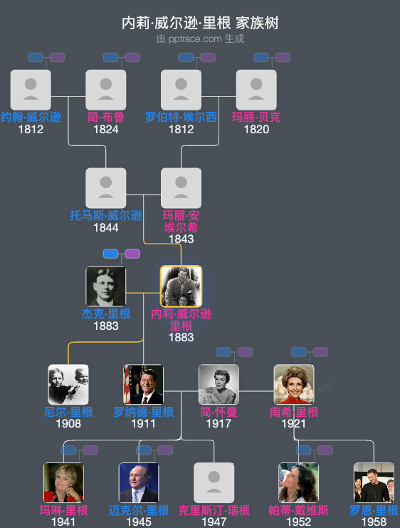 内莉·威尔逊·里根家族树全览