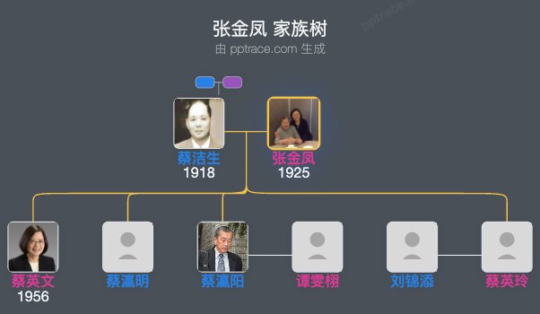 张金凤家族树全览