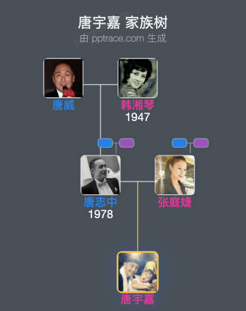 唐宇嘉 家族树全览