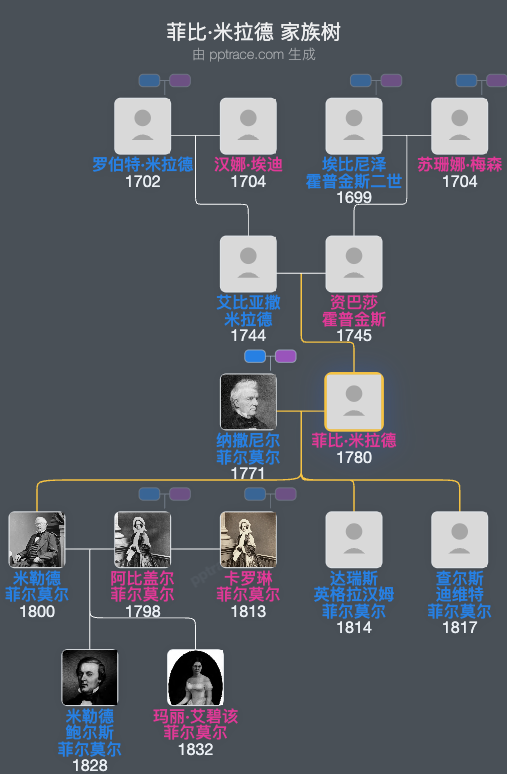 菲比·米拉德家族树全览