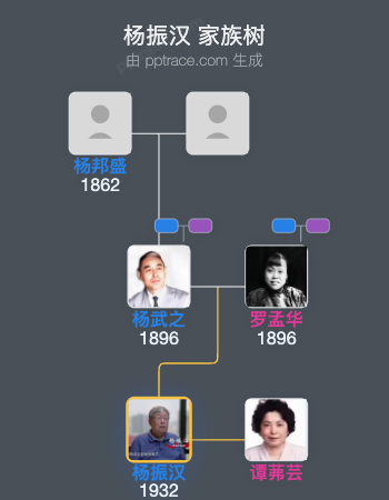 杨振汉家族树全览