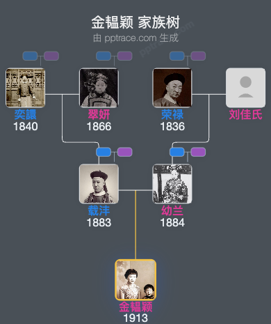 金韫颖家族树全览