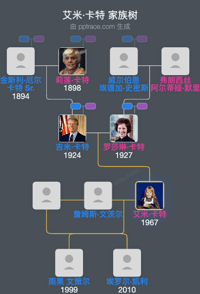 艾米·卡特家族树全览