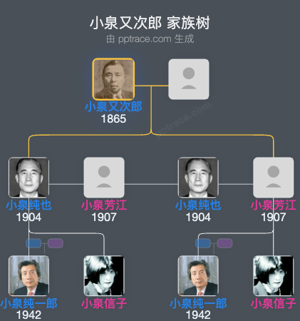 小泉又次郎 家族树全览