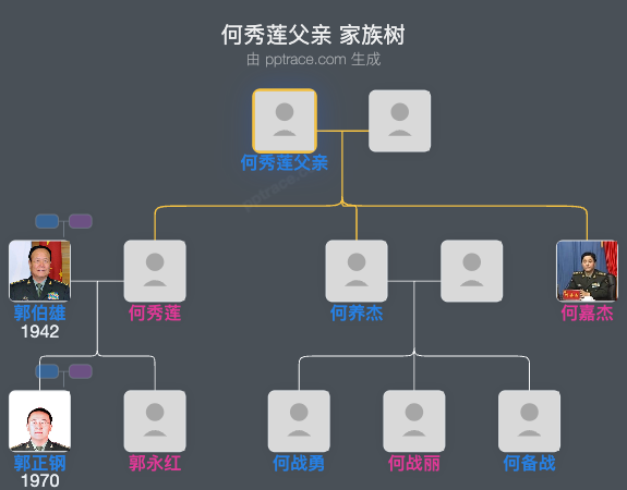 何秀莲父亲 家族树全览