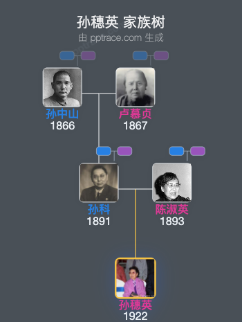 孙穗英 家族树全览