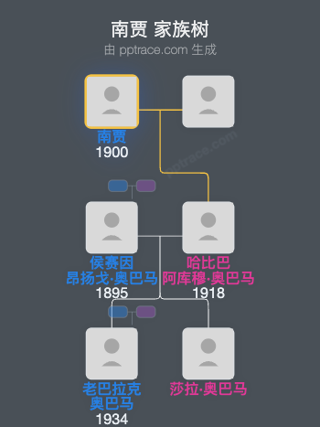 南贾家族树全览