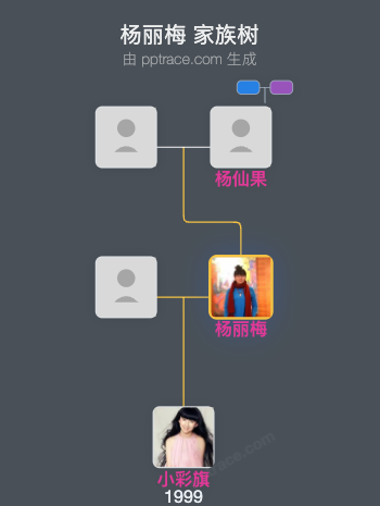 杨丽梅 家族树全览