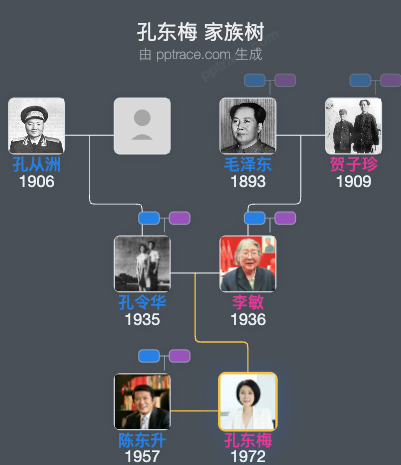 孔东梅 家族树全览