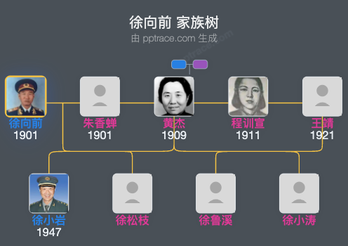 徐向前 家族树全览