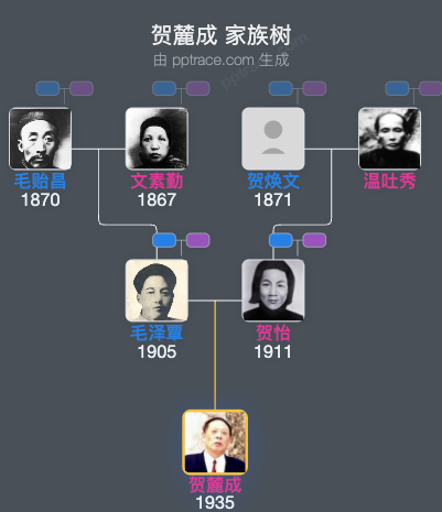 贺麓成 家族树全览