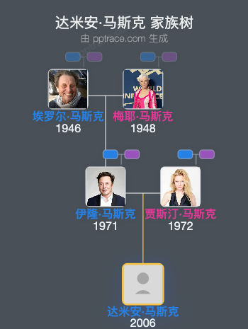 达米安·马斯克 家族树全览
