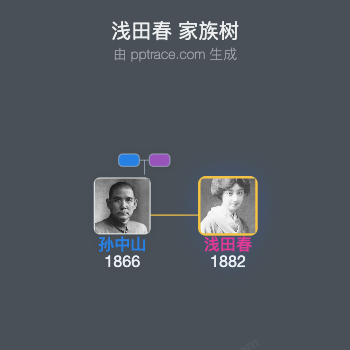 浅田春 家族树全览