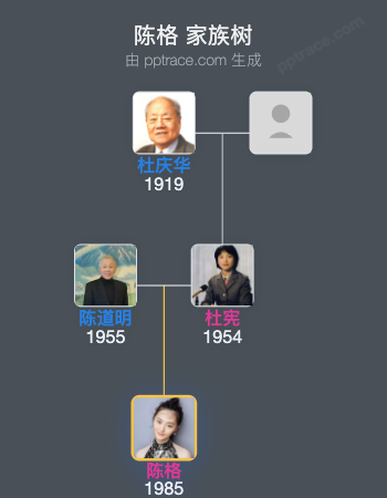 陈格 家族树全览