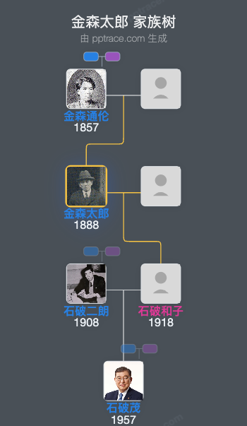 金森太郎家族树全览