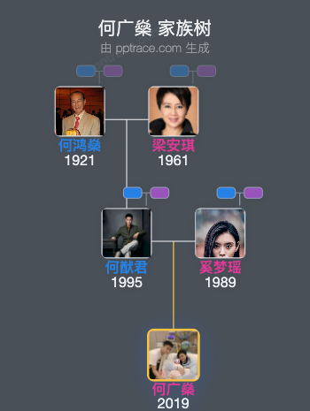 何广燊 家族树全览