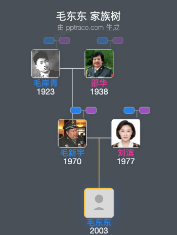 毛东东 家族树全览