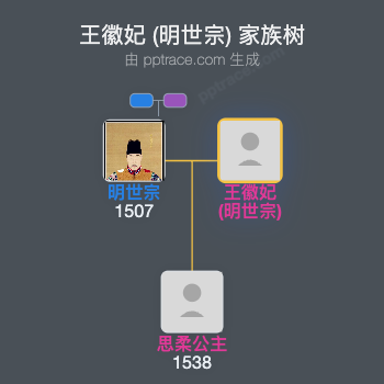 王徽妃 (明世宗)家族树全览