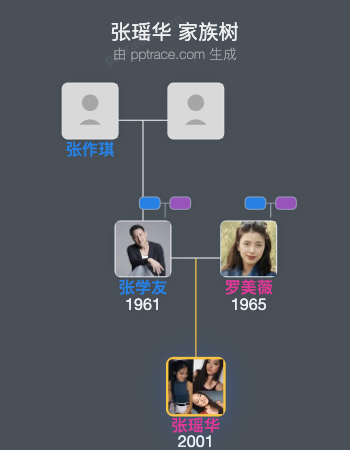 张瑶华 家族树全览