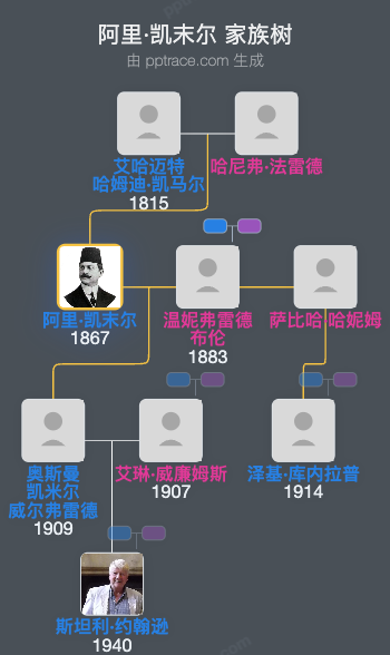 阿里·凯末尔家族树全览