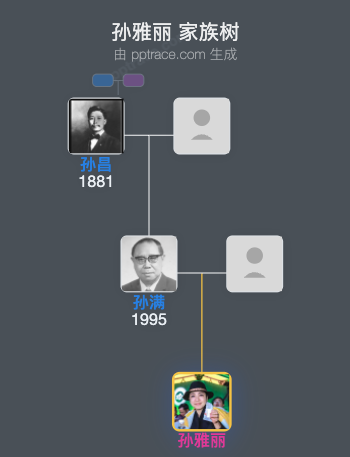 孙雅丽家族树全览