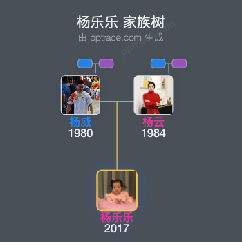 杨乐乐家族树全览