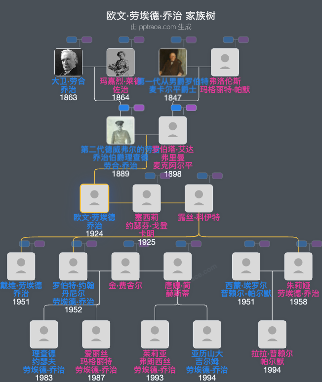 欧文·劳埃德·乔治，第三代德维福尔劳埃德-乔治伯爵家族树全览