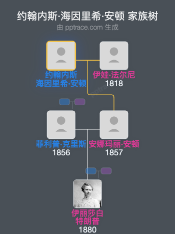 约翰内斯·海因里希·安顿家族树全览
