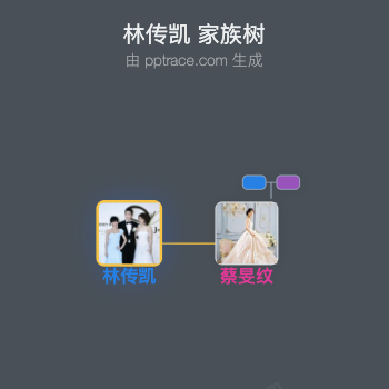 林传凯 家族树全览