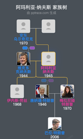 阿玛利亚·纳夫斯家族树全览