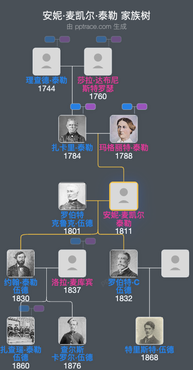 安妮·麦凯尔·泰勒家族树全览