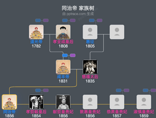 同治帝家族树全览