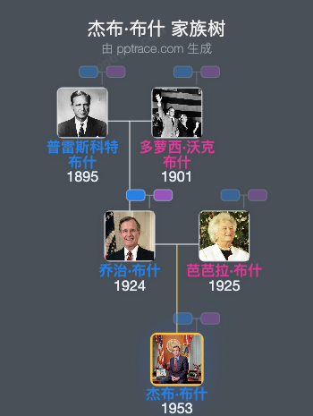 杰布·布什 家族树全览