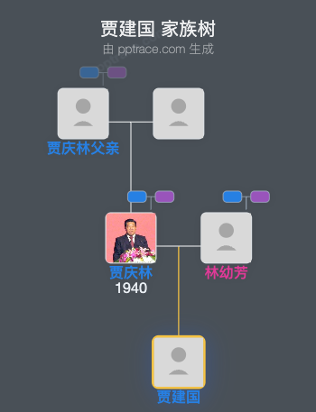 贾建国 家族树全览