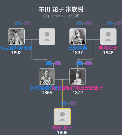 东田 花子家族树全览