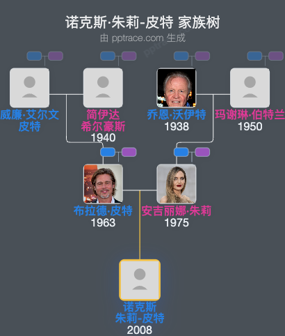 诺克斯·朱莉-皮特 家族树全览
