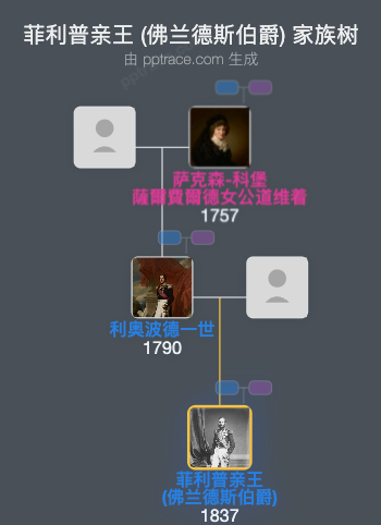 菲利普亲王 (佛兰德斯伯爵)家族树全览