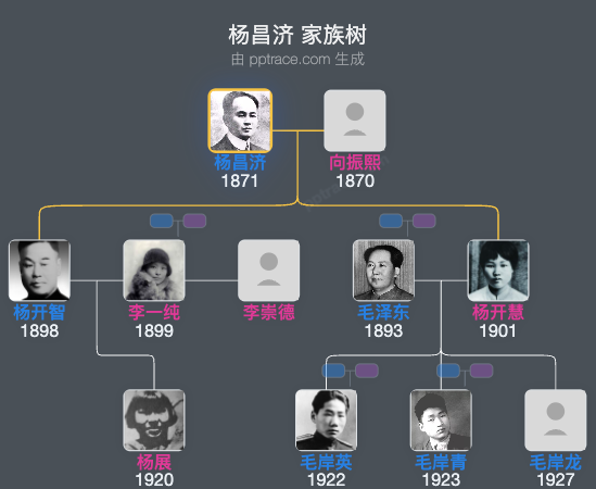 杨昌济 家族树全览