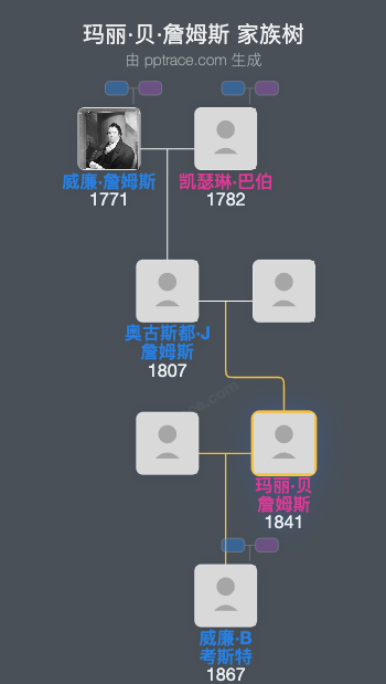 玛丽·贝·詹姆斯家族树全览