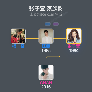 张子萱 家族树全览