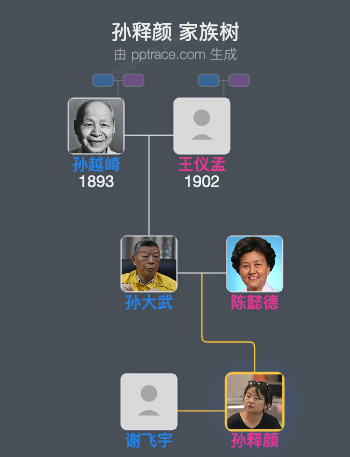 孙释颜 家族树全览