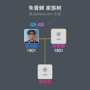 朱香蝉 家族树全览