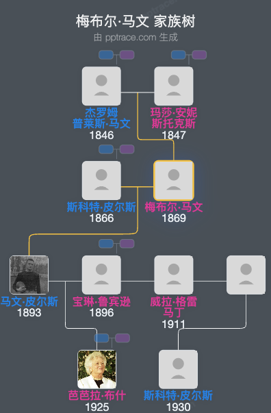 梅布尔·马文家族树全览
