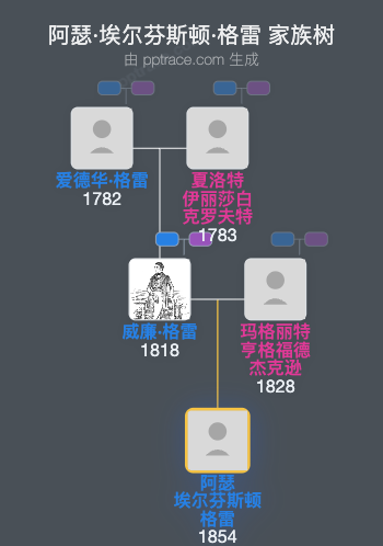 阿瑟·埃尔芬斯顿·格雷家族树全览